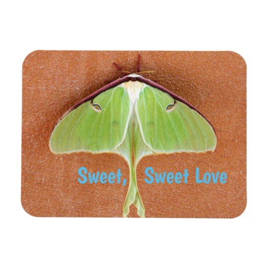 Magnet Flexible Aimant flexible de papillon luna (Horizontal)