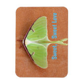 Magnet Flexible Aimant flexible de papillon luna (Vertical)