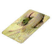 Magnet Flexible Aimant flexible de serpent de bétail albinos (Côté Gauche)