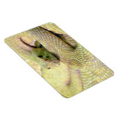 Magnet Flexible Aimant flexible de serpent de bétail albinos (Côté Droit)