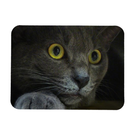 Magnet Flexible Aimant flexible d'intensité (Horizontal)