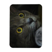 Magnet Flexible Aimant flexible d'intensité (Vertical)