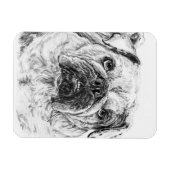 Magnet Flexible Aimant flexible DIVA Lilybug (Horizontal)