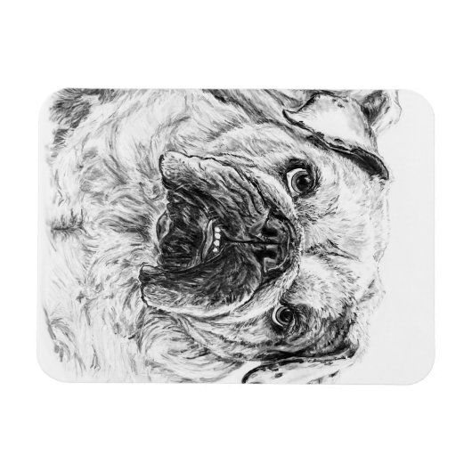 Magnet Flexible Aimant flexible DIVA Lilybug (Horizontal)