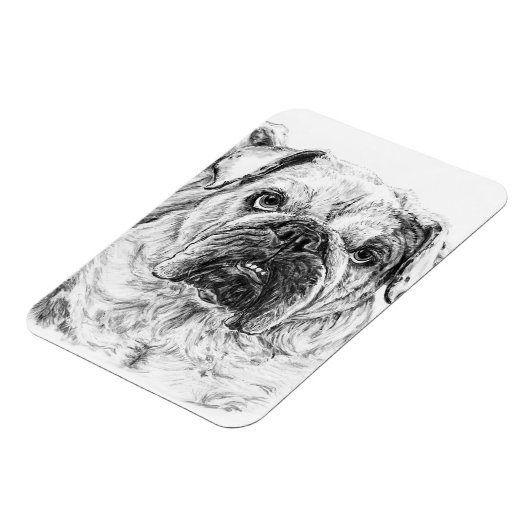 Magnet Flexible Aimant flexible DIVA Lilybug (Côté Gauche)