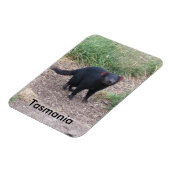 Magnet Flexible Aimant flexible du diable de Tasmanie (Côté Gauche)