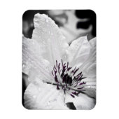 Magnet Flexible Aimant flexible - Fleur Clematis Blanche (Vertical)