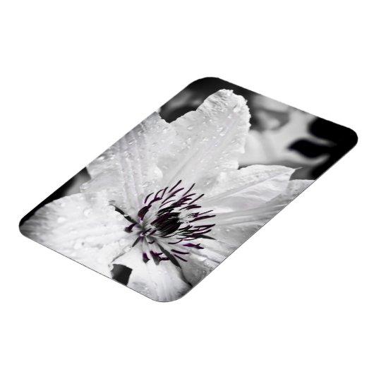 Magnet Flexible Aimant flexible - Fleur Clematis Blanche (Côté Gauche)
