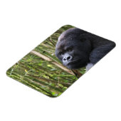 Magnet Flexible Aimant flexible Gorilla Lowland (Côté Gauche)