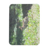 Magnet Flexible Aimant flexible lapin sauvage (Vertical)