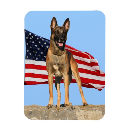 Magnet Flexible Aimant flexible Malinois et Drapeau (Vertical)