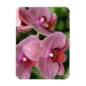 Magnet Flexible Aimant flexible orchidée (Vertical)