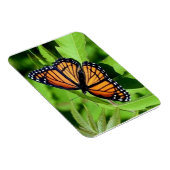 Magnet Flexible Aimant flexible papillon (Côté Droit)