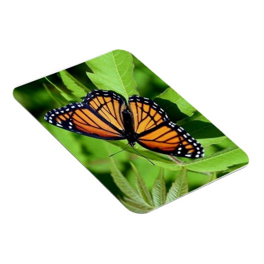 Magnet Flexible Aimant flexible papillon (Côté Droit)