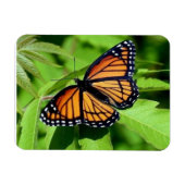 Magnet Flexible Aimant flexible papillon (Horizontal)