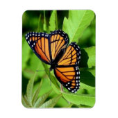 Magnet Flexible Aimant flexible papillon (Vertical)