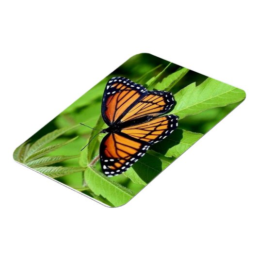 Magnet Flexible Aimant flexible papillon (Côté Gauche)