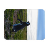Magnet Flexible Aimant flexible pingouin (Horizontal)