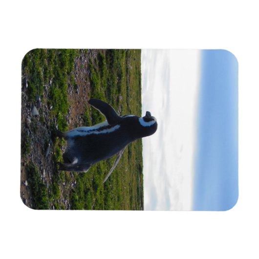 Magnet Flexible Aimant flexible pingouin (Horizontal)
