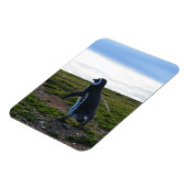 Magnet Flexible Aimant flexible pingouin (Côté Gauche)