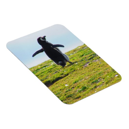Magnet Flexible Aimant flexible pingouin (Côté Droit)
