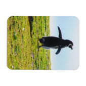 Magnet Flexible Aimant flexible pingouin (Horizontal)