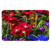 Magnet Flexible Aimant flexible ressort Iridescente (Horizontal)