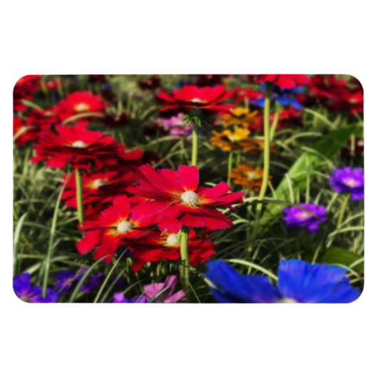 Magnet Flexible Aimant flexible ressort Iridescente (Horizontal)