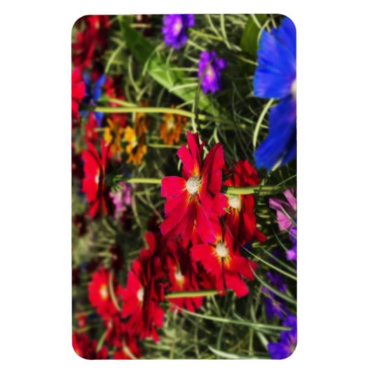 Magnet Flexible Aimant flexible ressort Iridescente (Vertical)