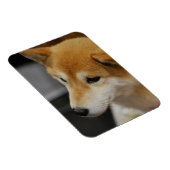 Magnet Flexible Aimant flexible Shiba Inu (Côté Droit)
