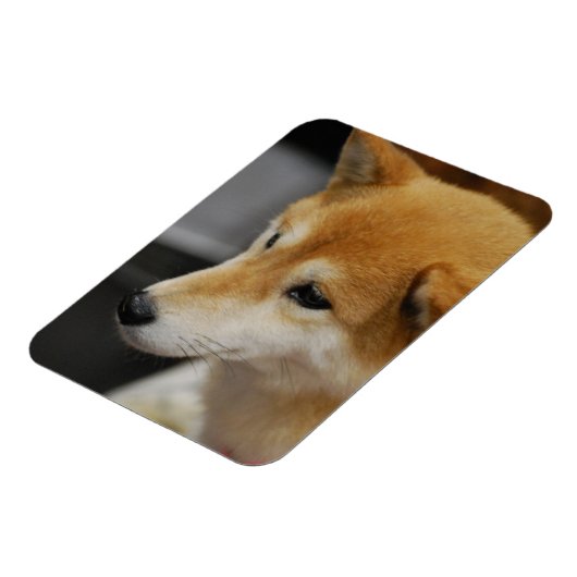 Magnet Flexible Aimant flexible Shiba Inu (Côté Gauche)