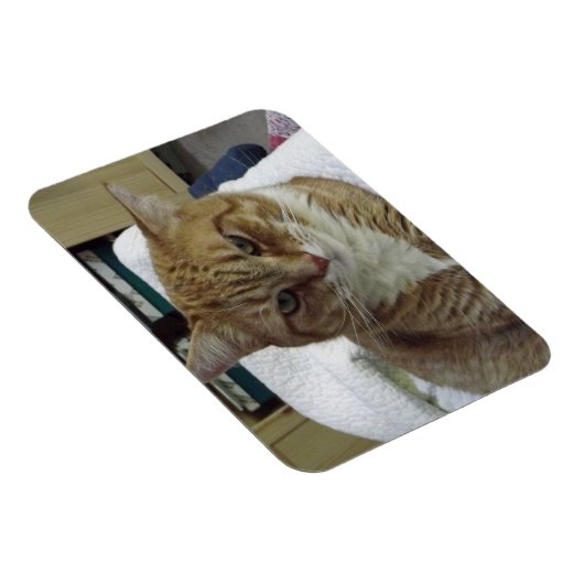 Magnet Flexible Aimant flexible Tabby Chat orange (Côté Droit)