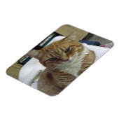 Magnet Flexible Aimant flexible Tabby Chat orange (Côté Gauche)