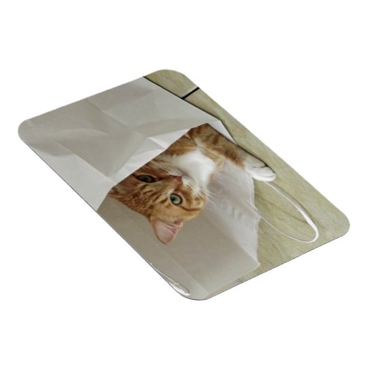 Magnet Flexible Aimant flexible Tabby Chat orange (Côté Droit)