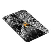 Magnet Flexible Aimant flexible Tiger Peek-a-boo (Côté Droit)
