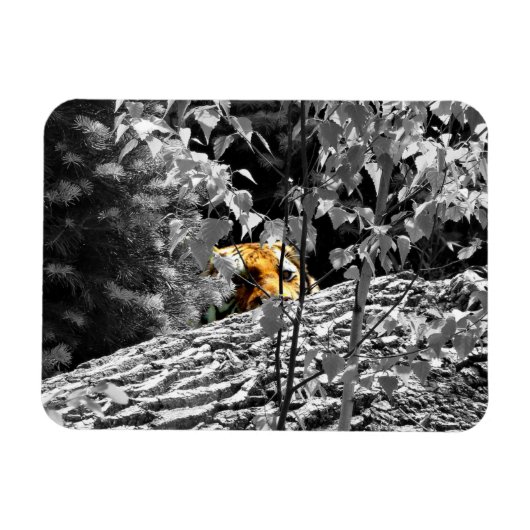 Magnet Flexible Aimant flexible Tiger Peek-a-boo (Horizontal)