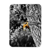 Magnet Flexible Aimant flexible Tiger Peek-a-boo (Vertical)