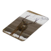 Magnet Flexible Aimant flexible Young Buck (Côté Gauche)