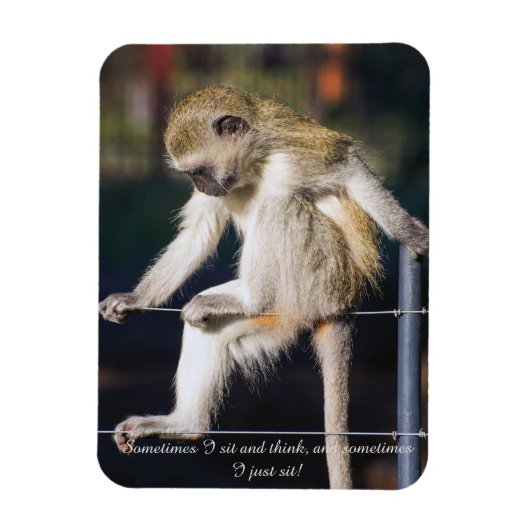 Magnet Flexible Aimant frigo avec singe et Slogan (Vertical)
