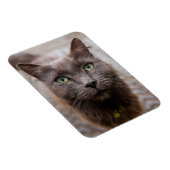 Magnet Flexible Aimant frigo chaton mignon (Côté Droit)