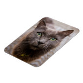 Magnet Flexible Aimant frigo chaton mignon (Côté Gauche)