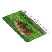 Magnet Flexible Aimant frigo de vache écossaise Highland (Côté Droit)
