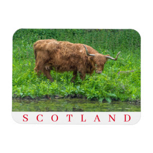 Magnet Flexible Aimant frigo de vache écossaise Highland