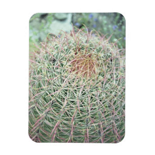 Magnet Flexible Aimant frigo décoratif Cactus à torchis rose