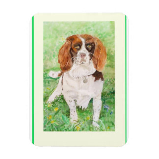 Magnet Flexible aimant frigo spaniel