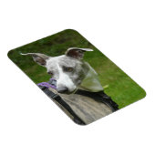 Magnet Flexible Aimant frigo Whippet (Côté Droit)