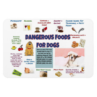 Magnet Flexible Aimant frigorifique pour chiens dangereux