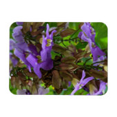 Magnet Flexible Aimant - Gingembre bleu (Horizontal)