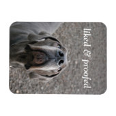 Magnet Flexible aimant Grand Danois (Horizontal)