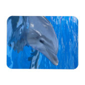 Magnet Flexible Aimant haut de gamme Dolphin (Horizontal)